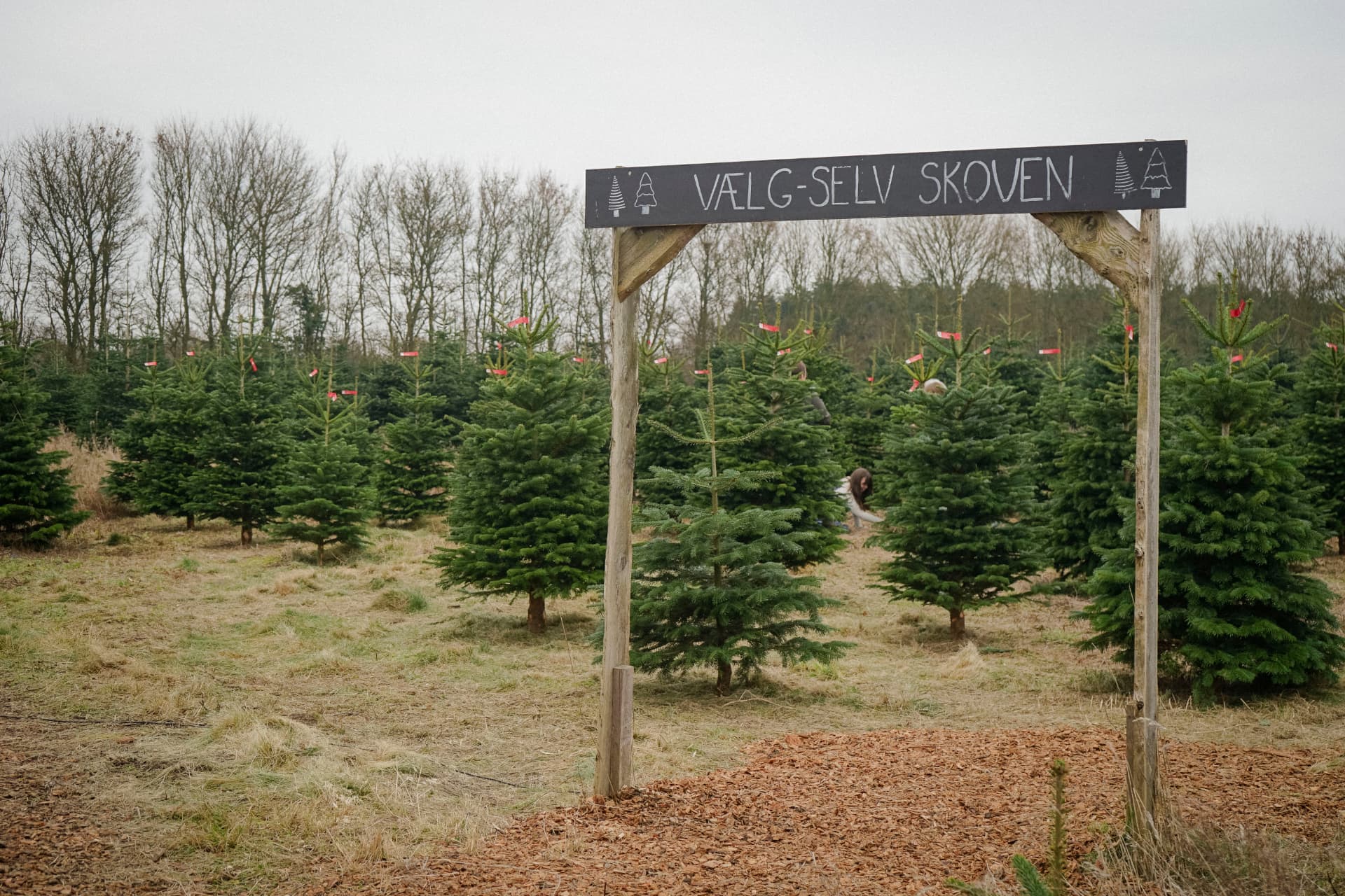 Hørslev Julemarked 2024