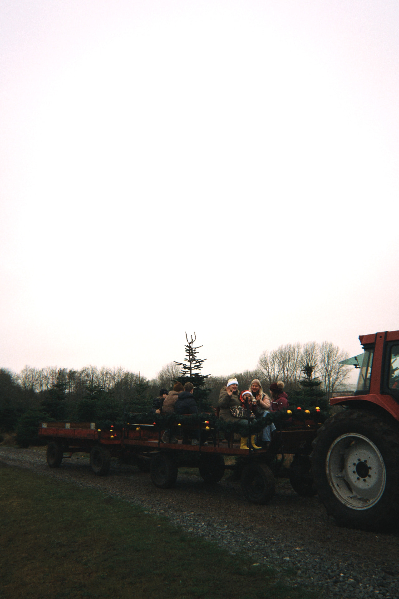 Gæster på tur med veterantraktor gennem plantagen