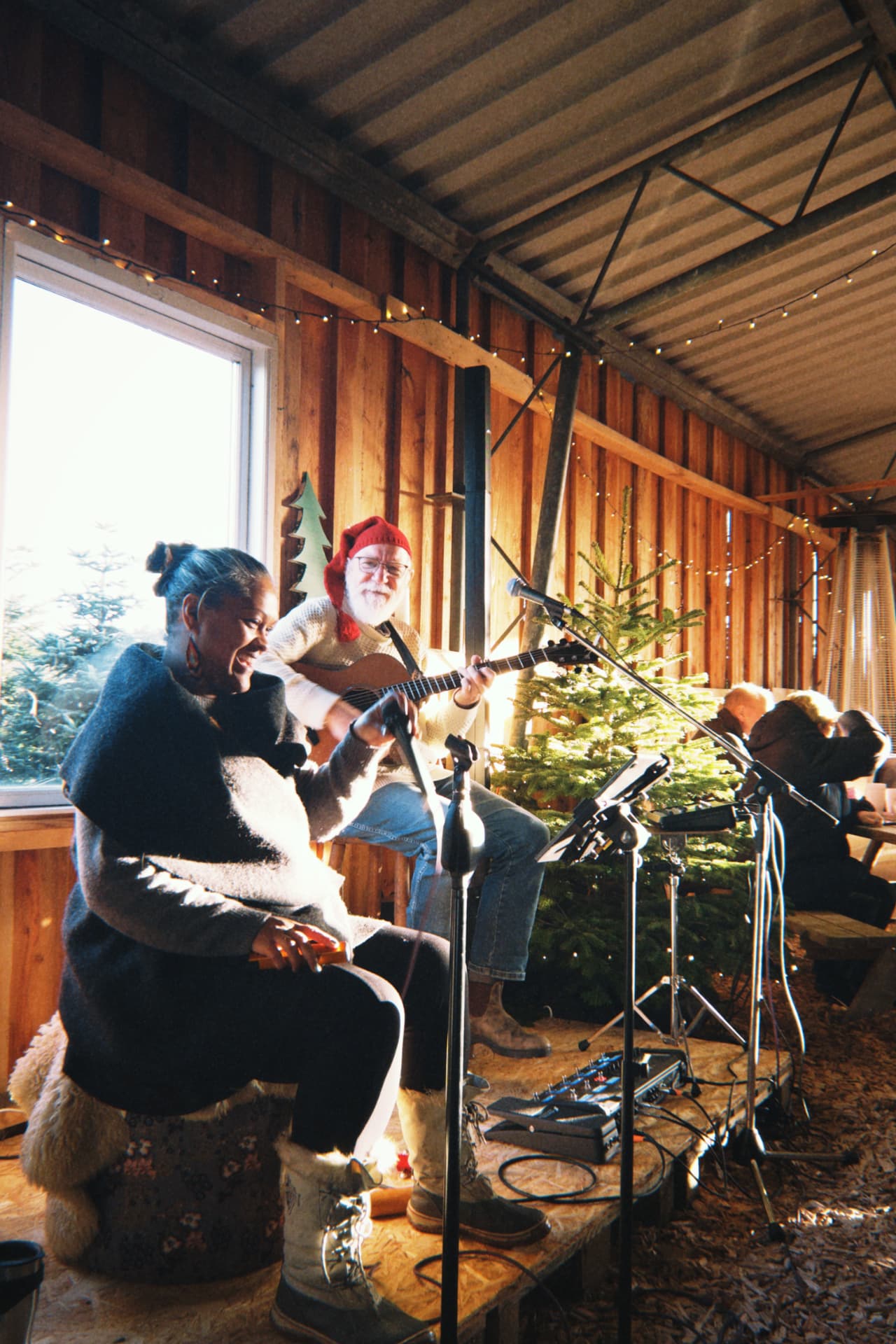 To musikere spiller julemusik i Café Træladen i eftermiddagssolen