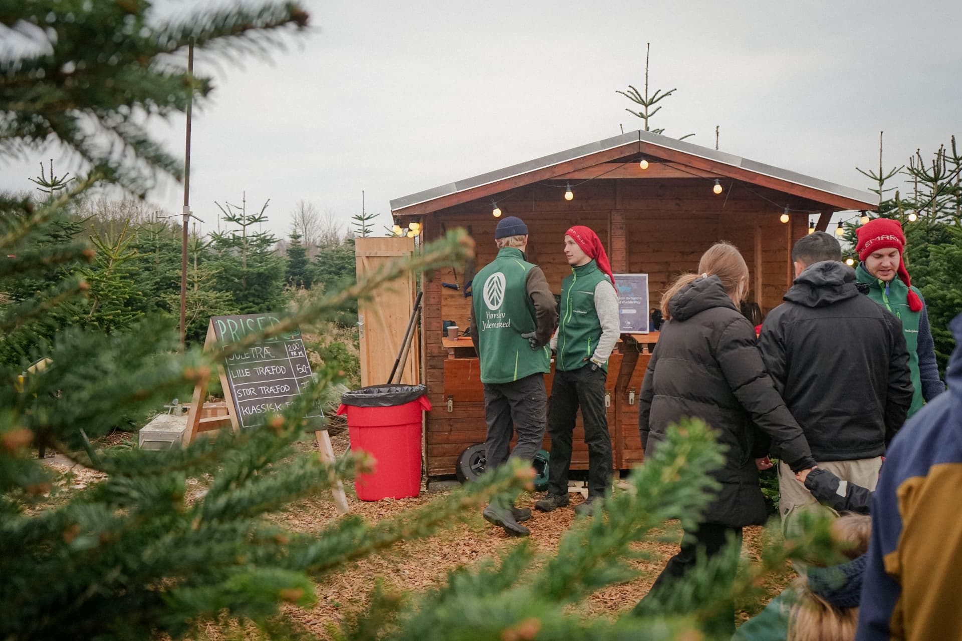 Gæster ved salgshytten mellem juletræerne på Hørslev Julemarked