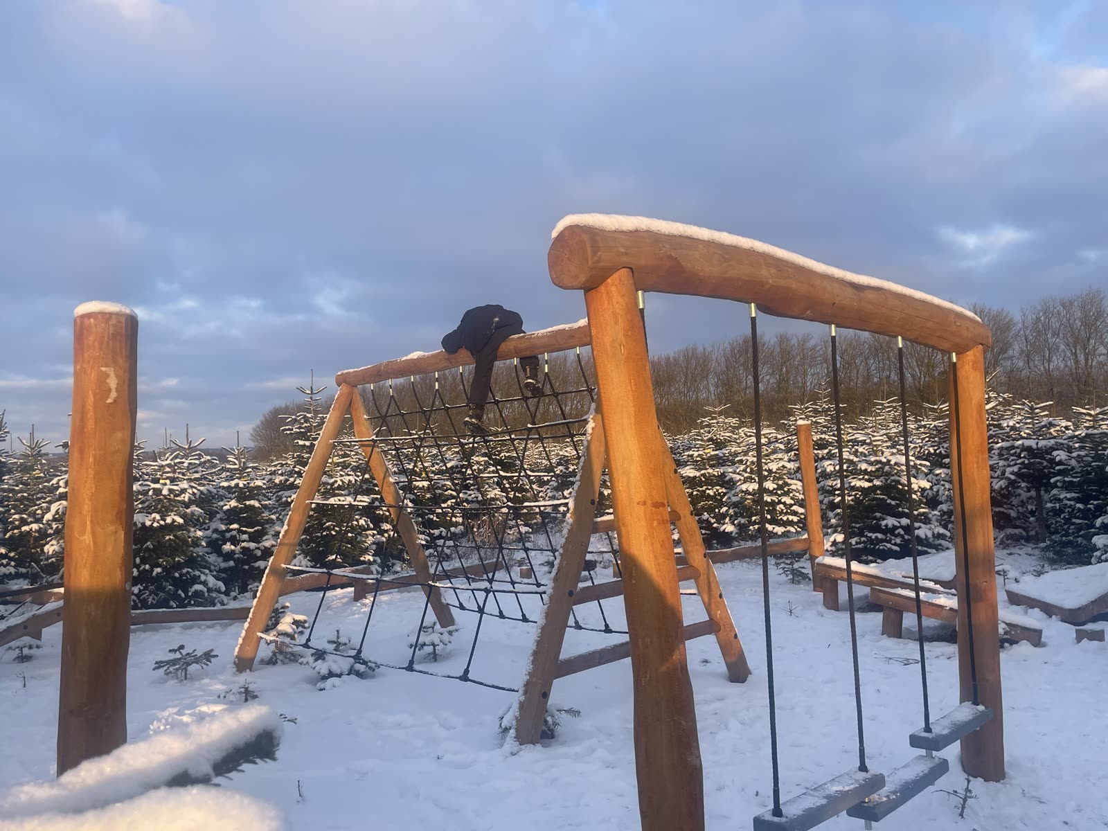 Børn på naturlegepladsen mellem juletræerne