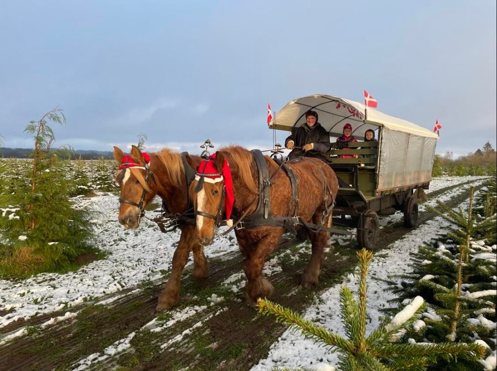 Hørslev Julemarked 2019